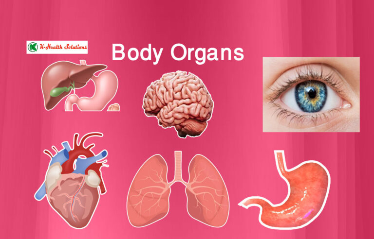 15 Ways to keep your body organs healthy