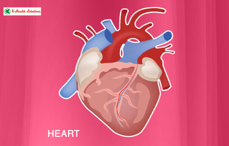 Risk factors of Cardiovascular disease and their associations with inflammation among US adolescents