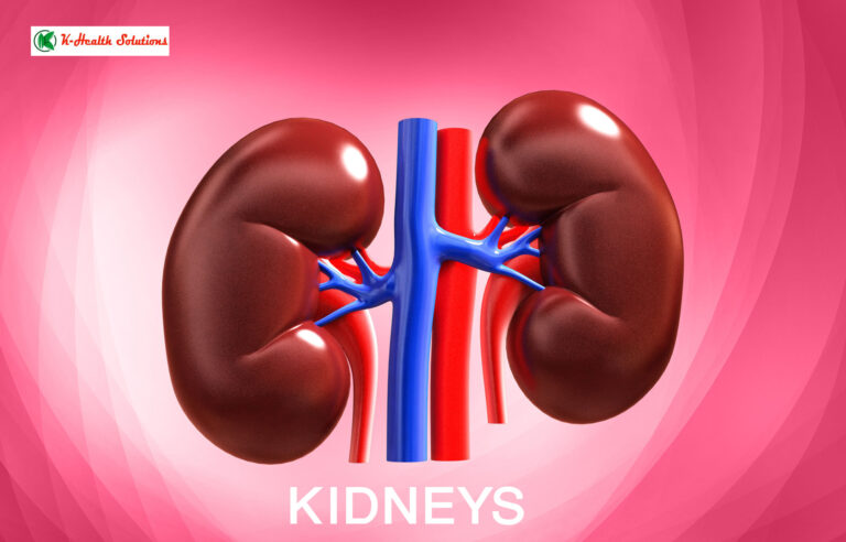 The three foods that can help promote kidney health