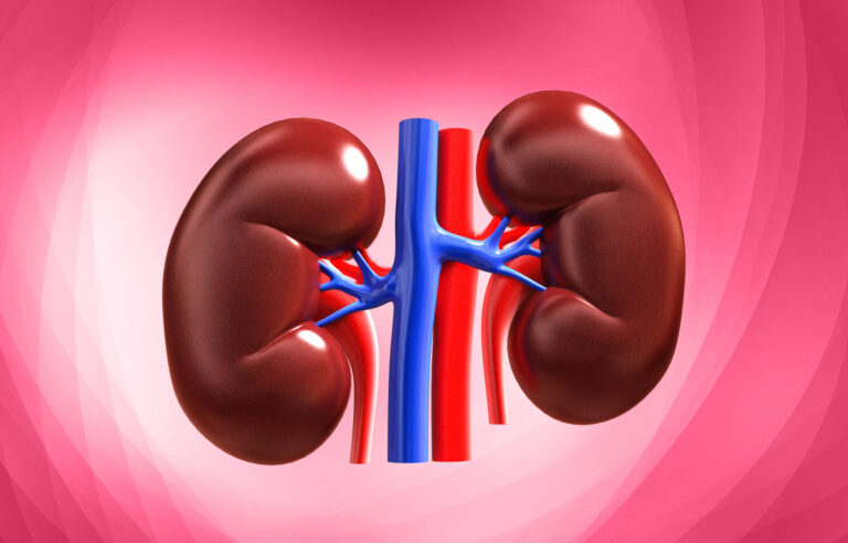 Heal your kidneys and prevent dialysis