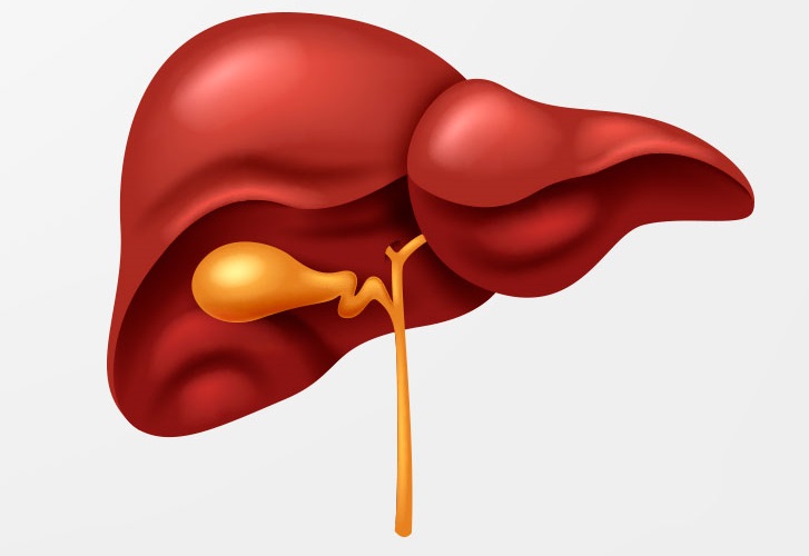 Your Liver can be recovered