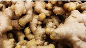 Ginger a powerful herbal spice